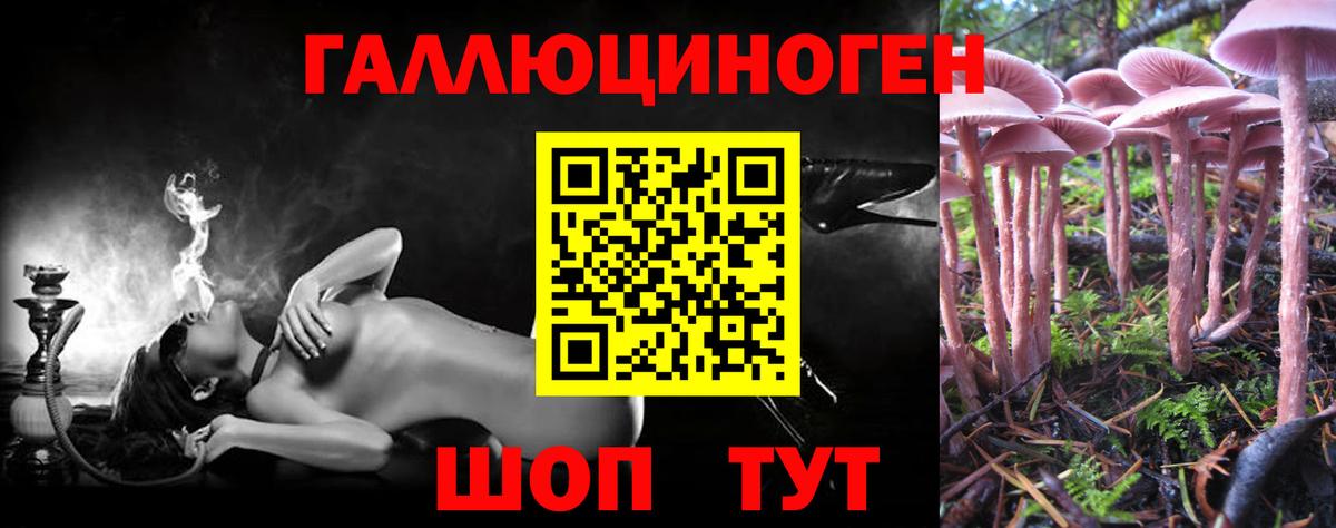 Псилоцибиновые грибы Psilocybe Нижний Новгород