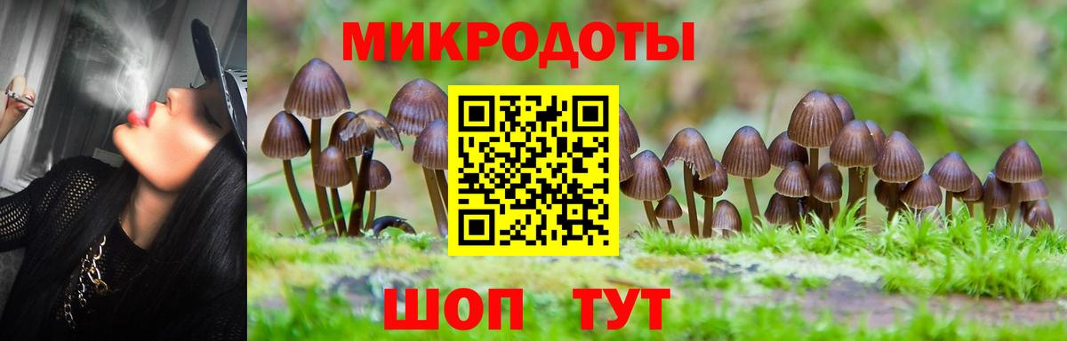 Псилоцибиновые грибы Magic Shrooms  Псилоцибиновые грибы MAGIC MUSHROOMS  Нижний Новгород  Вход с VPN 